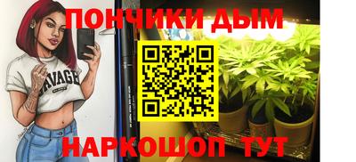 мдпв Новозыбков