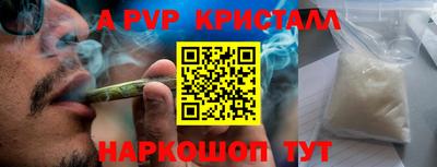 мдпв Новозыбков