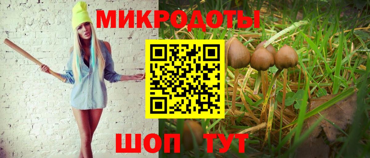 Томск  Галлюциногенные грибы мухоморы  Вход с VPN 