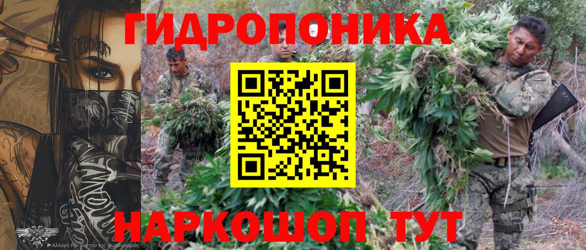 Томск  Бошки Шишки MAZAR  Вход с VPN  Марихуана сатива 